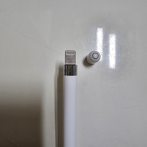 애플 펜슬 1세대 USB-C Apple Pencil