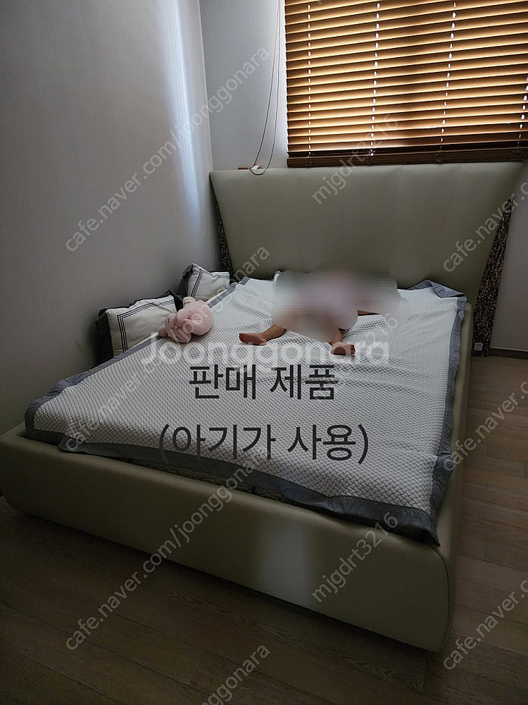 피졸로 모션베드 (명품, 연예인, 침대)--6