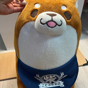 SK japan)앉아있는 시바인형L(40cm)