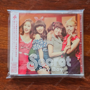 시크릿 SECRET Shy Boy 미니앨범 일본 CD 중고