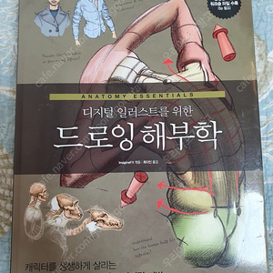 드로잉북 드로잉책 4종 합쳐서 팝니다 (멋진 남자캐릭터 데생,포스드로잉,캐릭터 의상 다양하게 그리기,디지털 일러스트를 위한 드로잉 해부학)