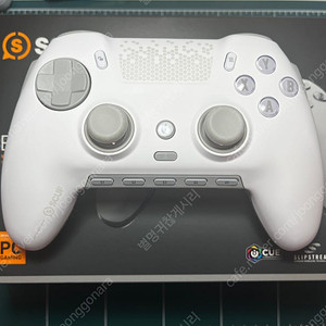 스커프 엔비전 프로 (SCUF ENVISION PRO) 2024/06/06 구매