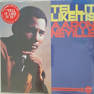 아론네빌 aaron neville 바이닐 엘피 Lp 택포