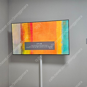 lg 55인치 tv 올레드 티비 400시간 미만 나무궁 스탠드 포함 oled55b2ena 팝니다