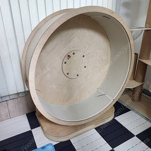 모든펫 캣휠 1100