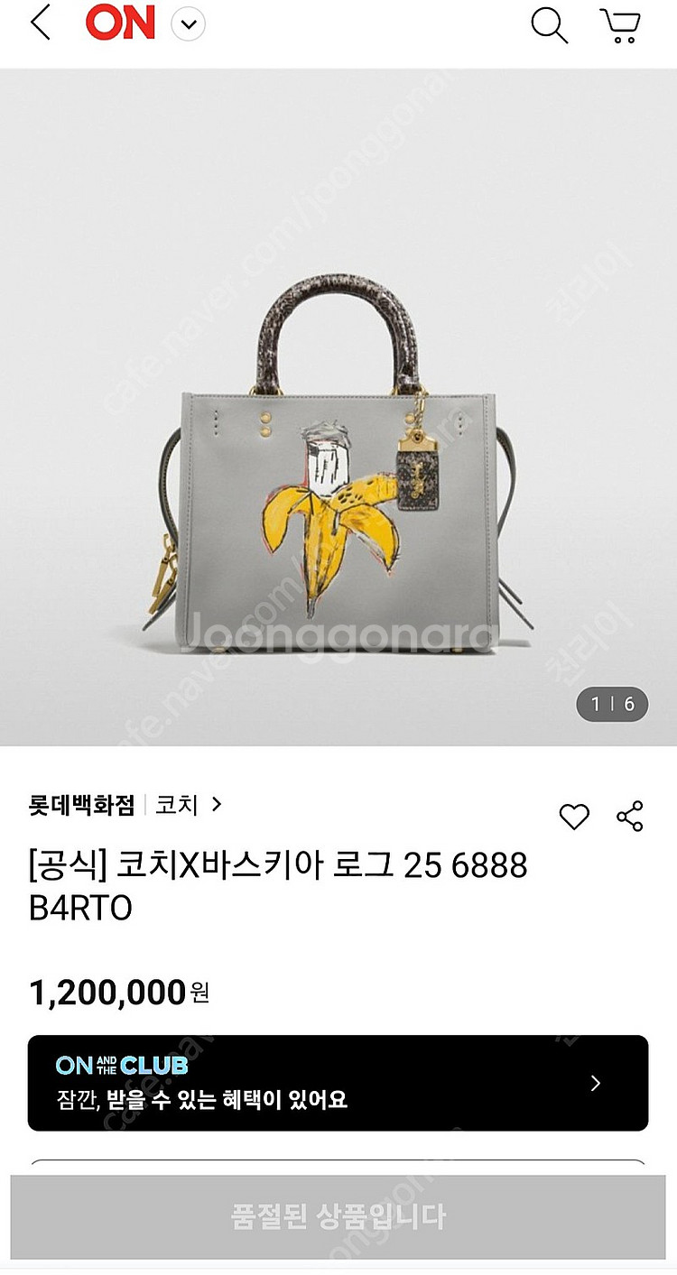 코치 장미쉘 바스키아 한정판 가방 로그25--0