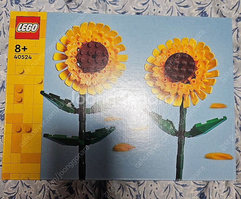 후루요니랑 잡동사니 팔아요--5