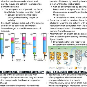 SAT IMAT MCAT A level // general chemistry 일반 화학 요약 노트 팝니다