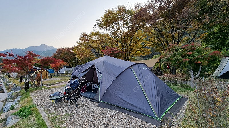 제드 오토듀얼팔레스4 (확장플라이, 전용TPU) + 더블플라이 판매합니다.