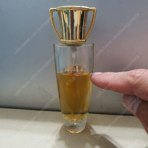 파라 paran edt 30ml 향수 (37)