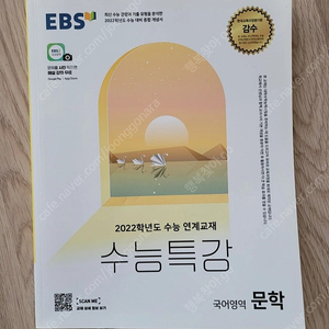 ebs수능특강 문학