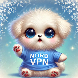 Nord VPN 2년 파티원 모집합니다.​