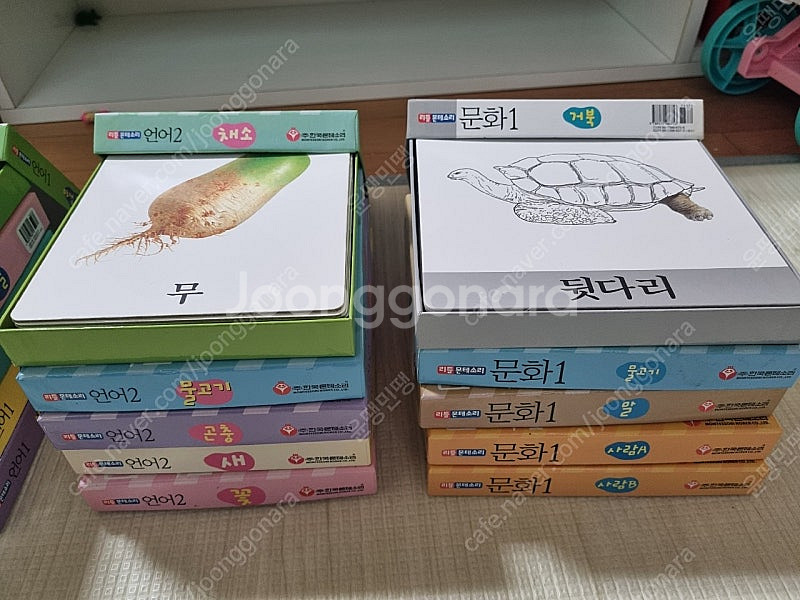 리틀몬테소리--0
