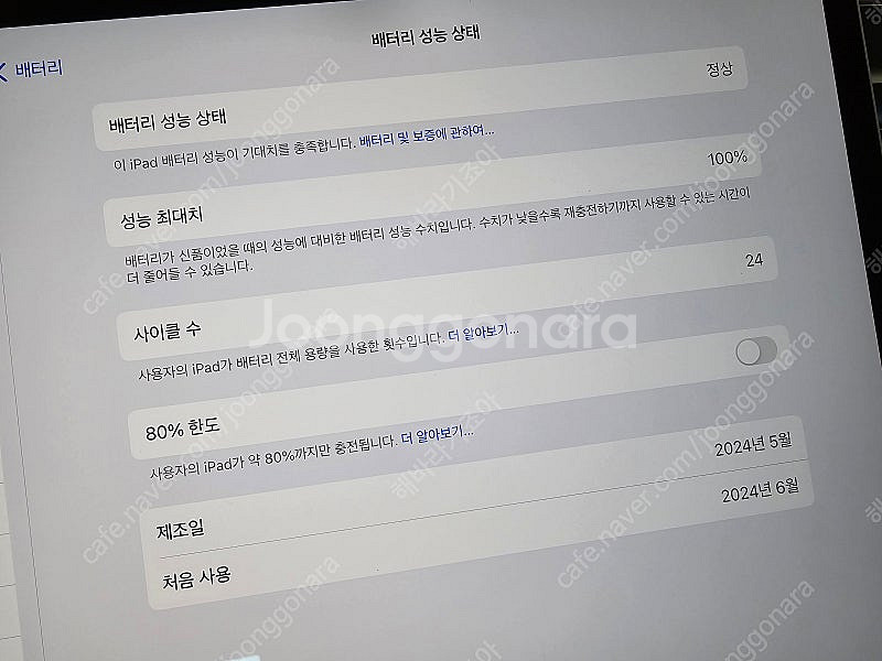 아이패드 프로 m4 13인치 256기가 실버 셀룰러--7