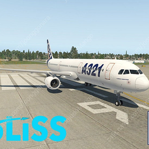 Xplane11/Xplane12 Toliss A321 + neo확장판 판매합니다