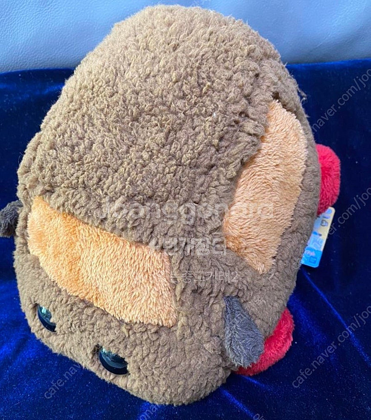 뿌이뿌이 모루카 테디--1
