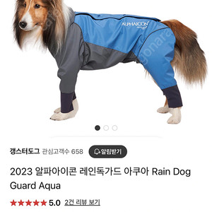 알파아이콘 레인독가드 L 라지 아쿠아 (새 상품) 강아지 우비 비옷