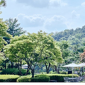 소노휴양평~소노캄거제`여수~소노벨변산~천안~경주~제주~룸온리or패키지