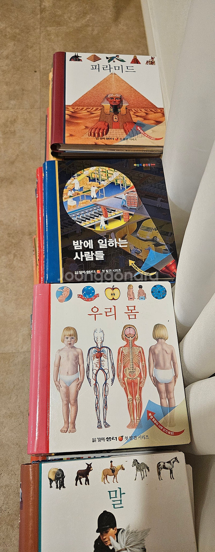 오르다코리아 첫발견 택포--0