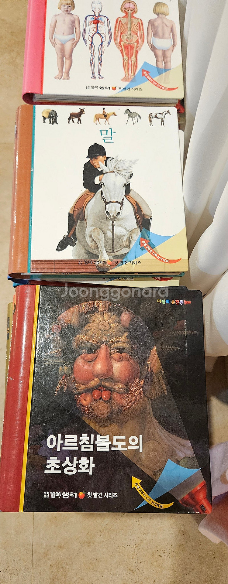 오르다코리아 첫발견 택포--5