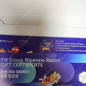 알펜시아 오션700 워터파크 입장권(2매)