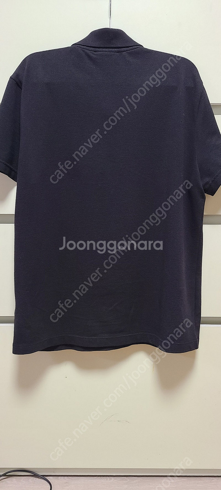 [판매]24 S/S 라코스테 카라반팔티 판매(특A급)--1