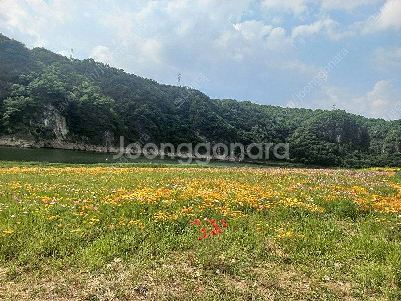 스타벅스 시원하게 함께 아메리카노, 오늘도 달콤하게--0