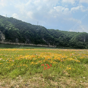 스타벅스 시원하게 함께 아메리카노, 오늘도 달콤하게