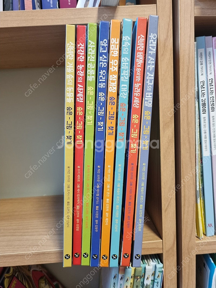 불빛을 비추며 읽는 그림자 그림책 8권(택포)--0