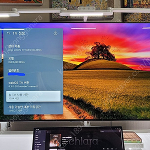 LG OLED 42C2 ENA 판매합니다.