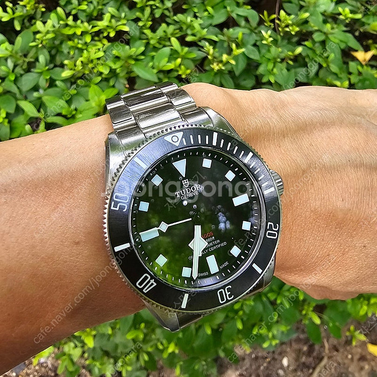 튜더 펠라고스39--2