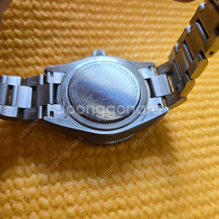 튜더 펠라고스39--5