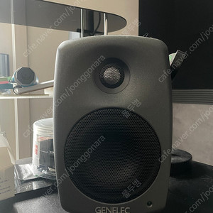 Genelec 8010