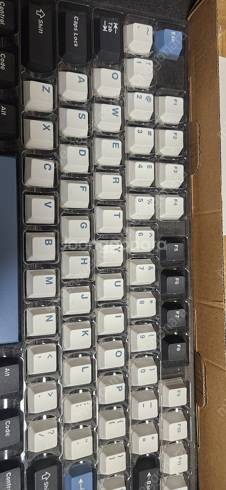 gmk arctic 카피 판매합니다--1