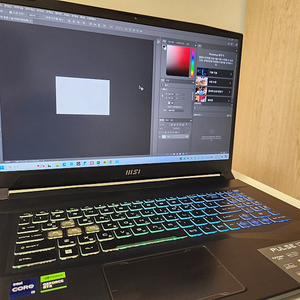 MSI 게이밍 노트북 Pulse 17 B13V 판매합니다.
