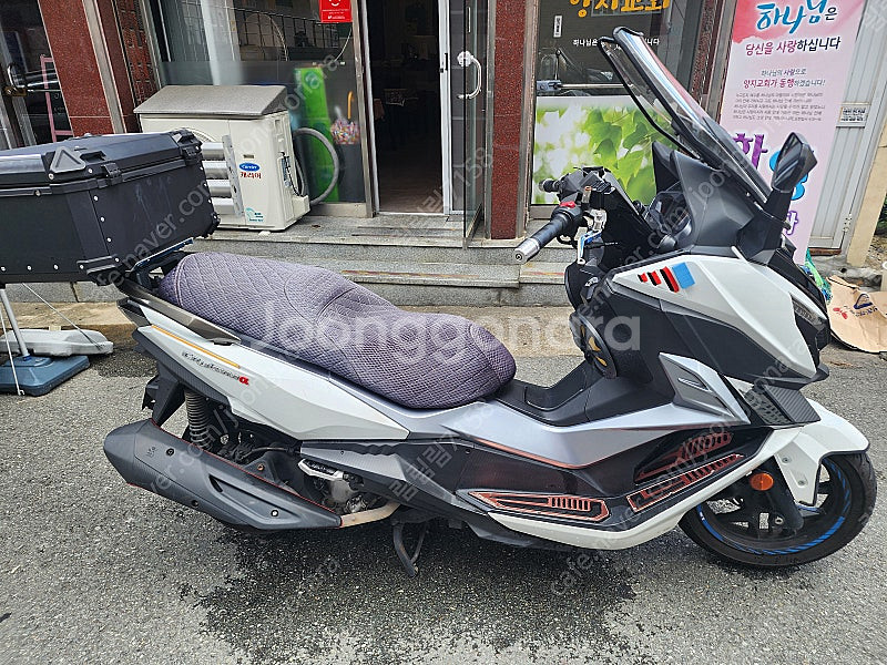 크루심알파 300--2