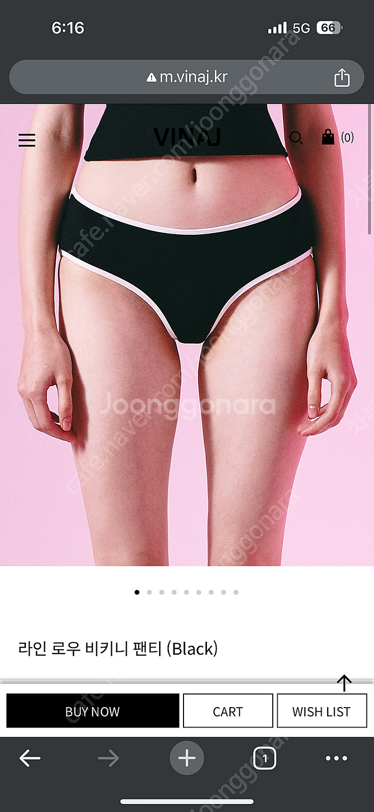 비나제이 비키니팬티 판매합니다--0