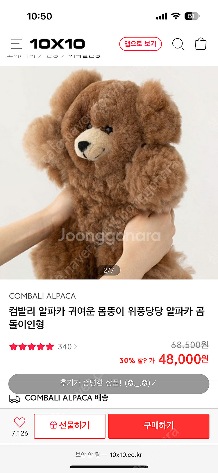 알파카곰인형--1
