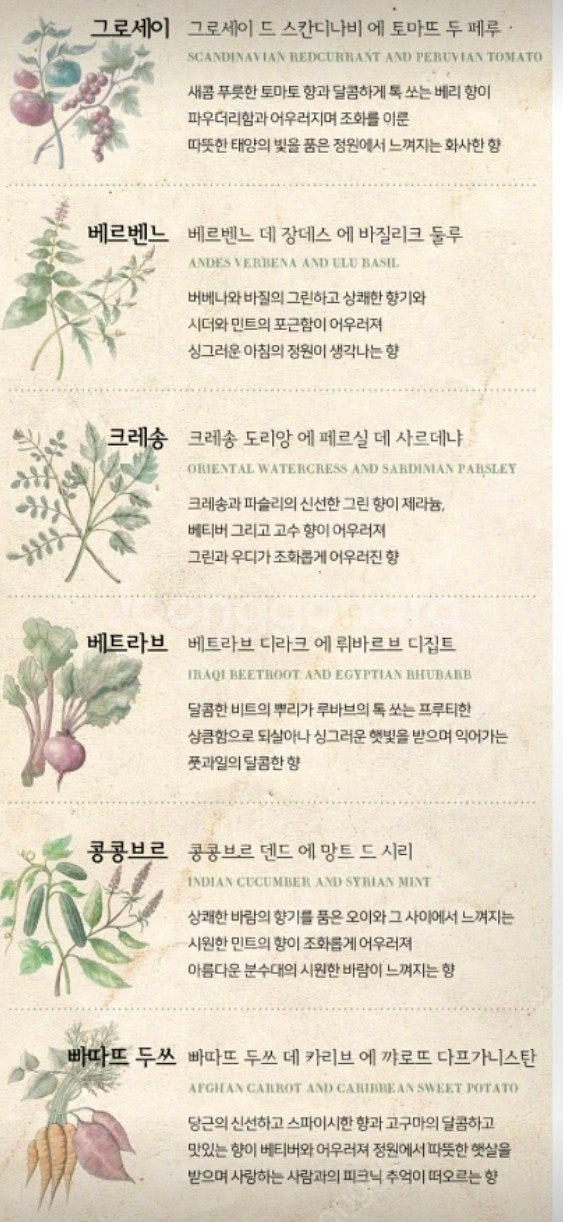 불리 디스커버리 향수 세트--2