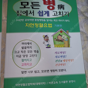 자연정혈요법교재