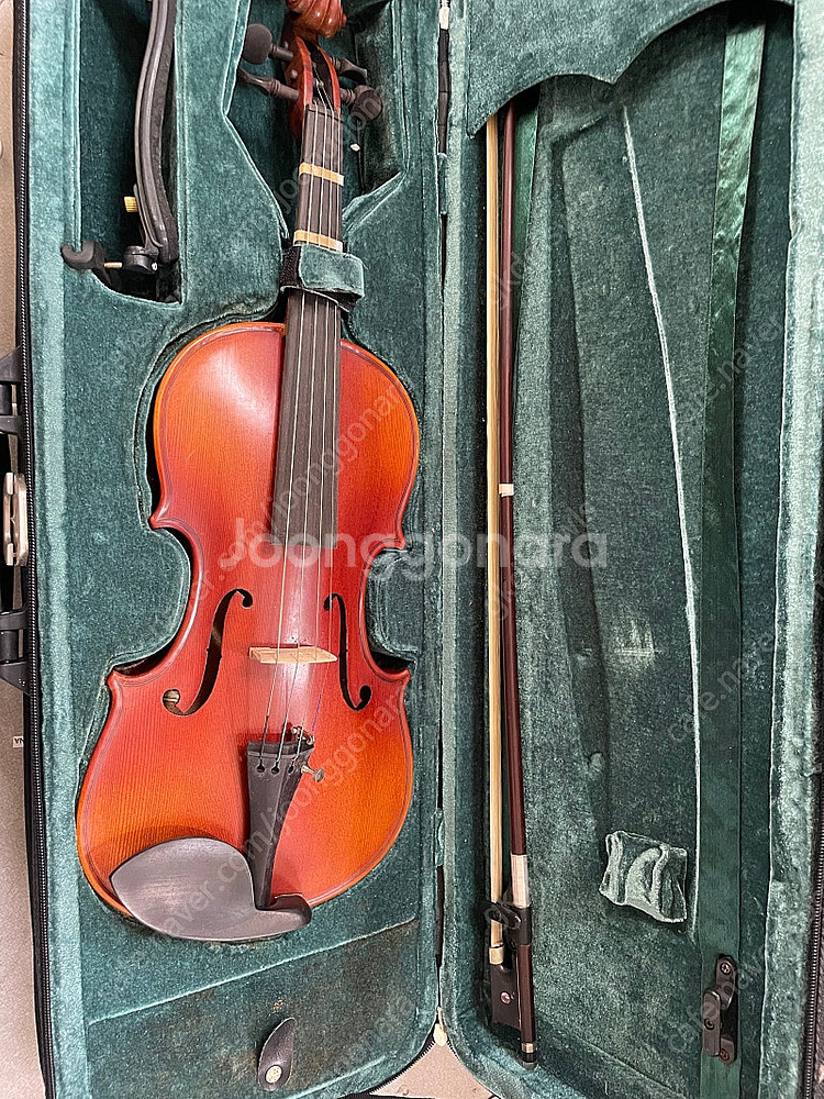 타일레 바이올린 1/2--0