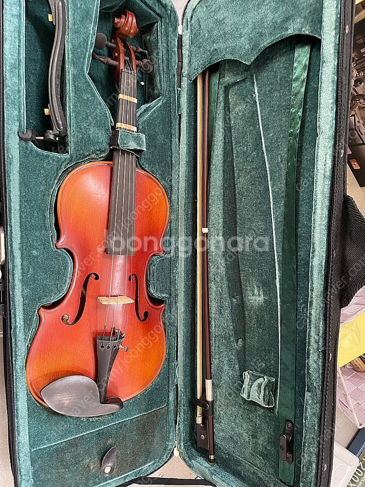 타일레 바이올린 1/2--1