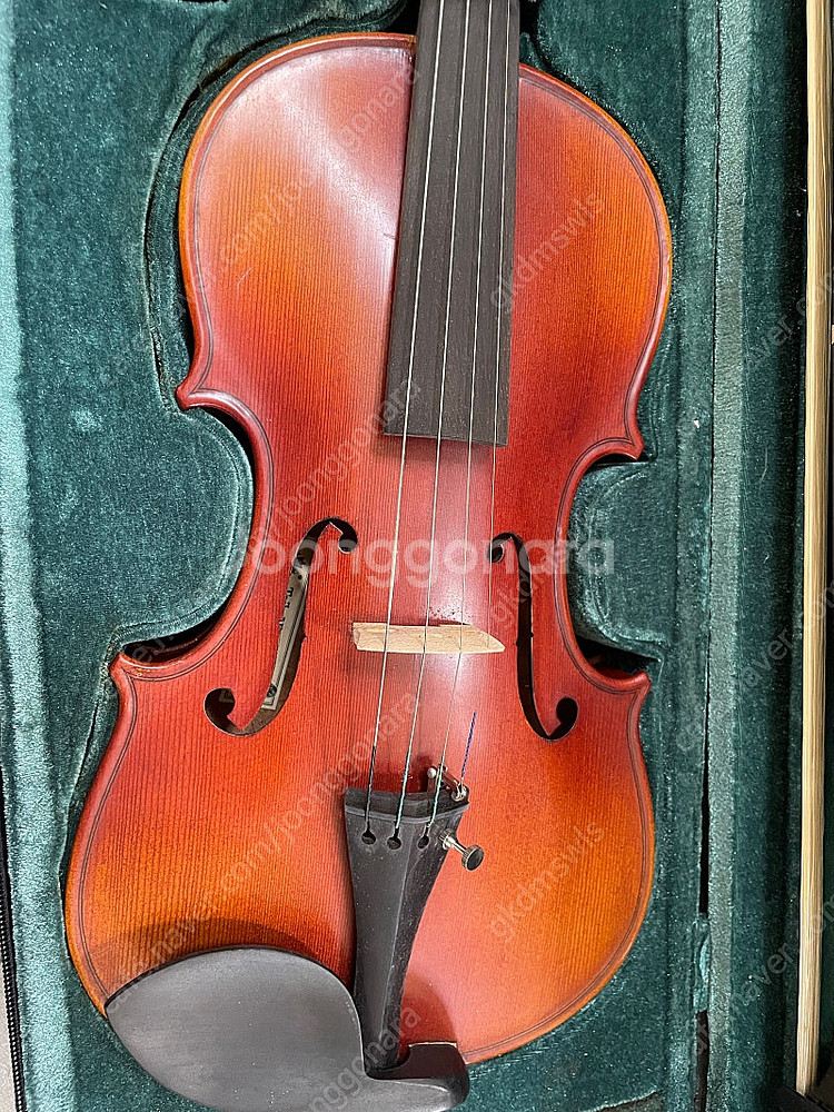 타일레 바이올린 1/2--2