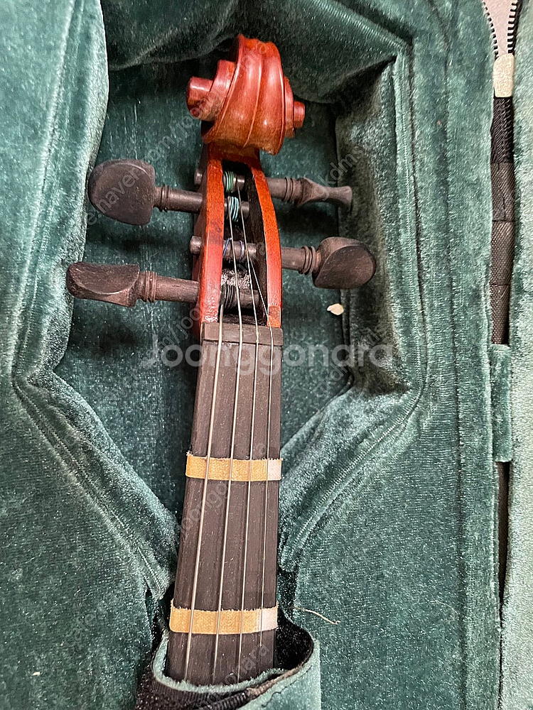 타일레 바이올린 1/2--3