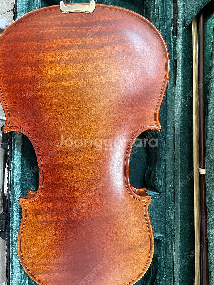 타일레 바이올린 1/2--5