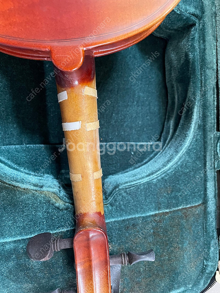 타일레 바이올린 1/2--6