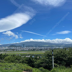 스피드옥션 전국 1년 이용권