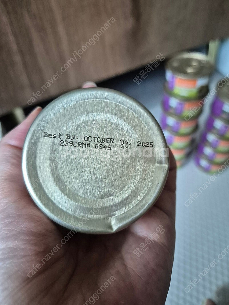 네이처스버라이어티 캣 생식본능 토끼캔 85g--1