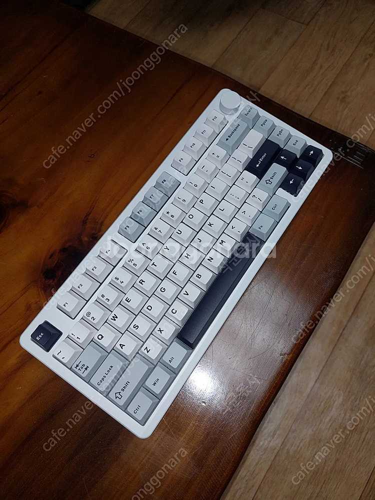 레오보그 회목축 v4 스위치 82개 팝니다--0