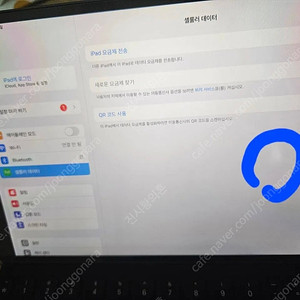 아이패드 에어3 셀룰러64gb